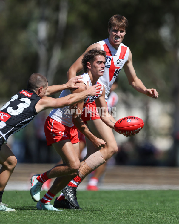 VFL 2025 Round 01 - Collingwood v Sydney - A-58016982