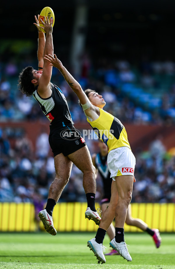 AFL 2025 Round 02 - Port Adelaide v Richmond - A-58018490