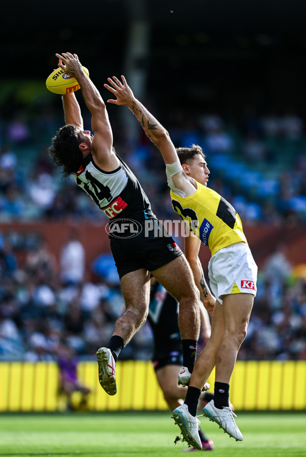 AFL 2025 Round 02 - Port Adelaide v Richmond - A-58018492