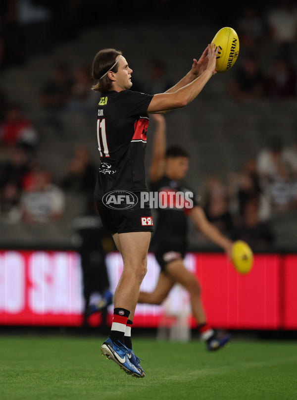AFL 2025 Round 02 - St Kilda v Geelong - A-58019398