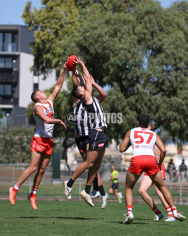 VFL 2025 Round 01 - Collingwood v Sydney - A-58019444