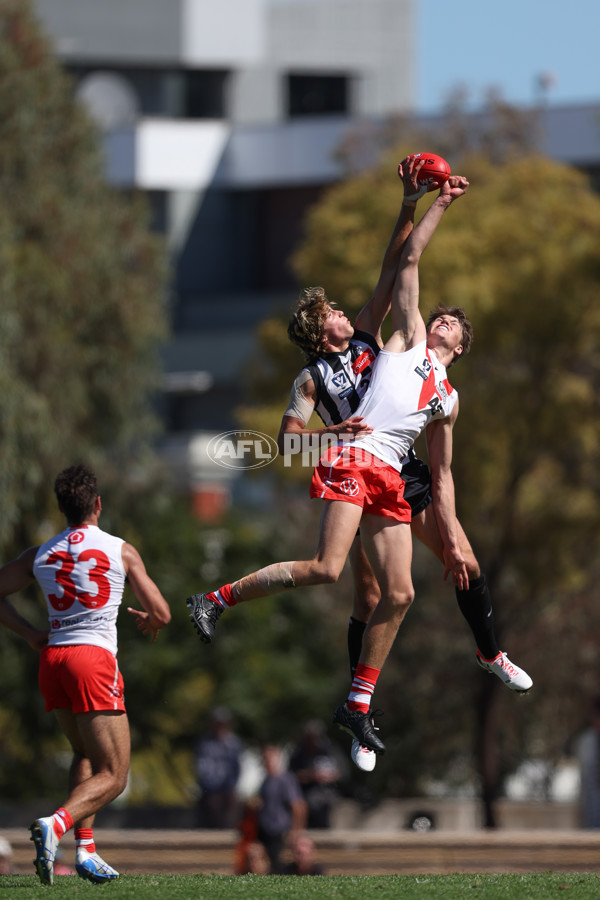 VFL 2025 Round 01 - Collingwood v Sydney - A-58019445