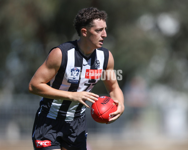 VFL 2025 Round 01 - Collingwood v Sydney - A-58019449