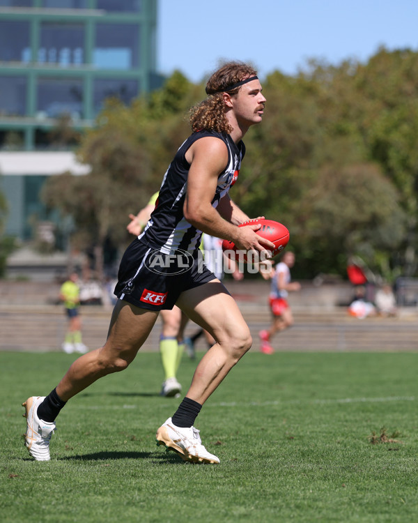 VFL 2025 Round 01 - Collingwood v Sydney - A-58021183