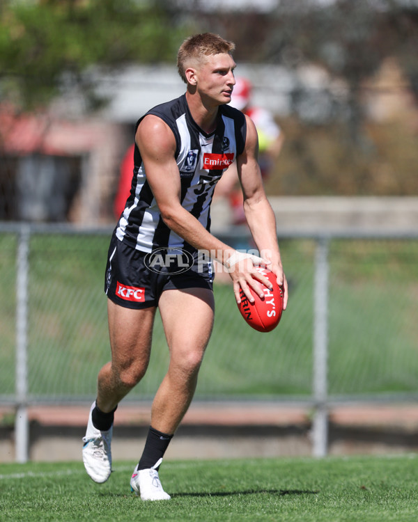 VFL 2025 Round 01 - Collingwood v Sydney - A-58021774