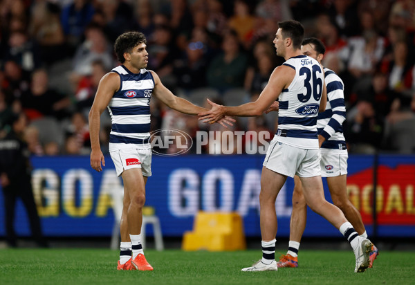 AFL 2025 Round 02 - St Kilda v Geelong - A-58021855