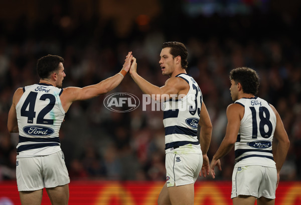AFL 2025 Round 02 - St Kilda v Geelong - A-58021869