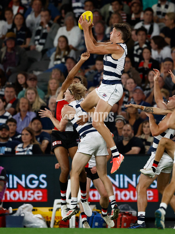 AFL 2025 Round 02 - St Kilda v Geelong - A-58021873