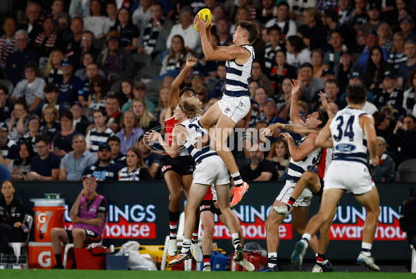 AFL 2025 Round 02 - St Kilda v Geelong - A-58023935