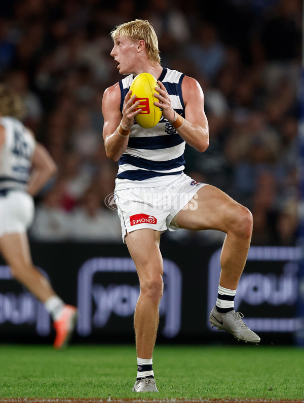 AFL 2025 Round 02 - St Kilda v Geelong - A-58024753