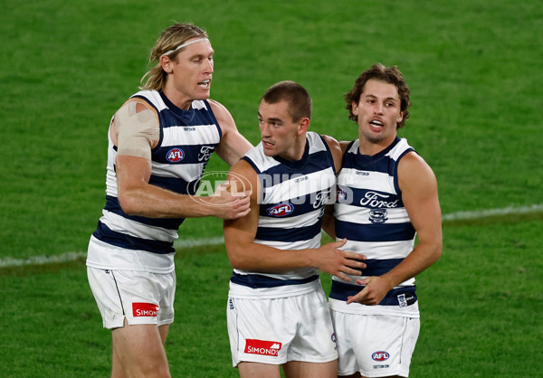 AFL 2025 Round 02 - St Kilda v Geelong - A-58026509