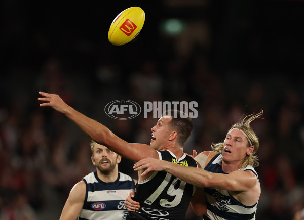 AFL 2025 Round 02 - St Kilda v Geelong - A-58029151