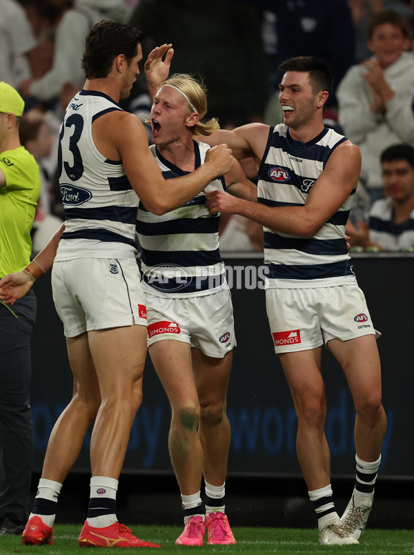 AFL 2025 Round 02 - St Kilda v Geelong - A-58029155