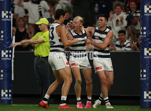 AFL 2025 Round 02 - St Kilda v Geelong - A-58029156