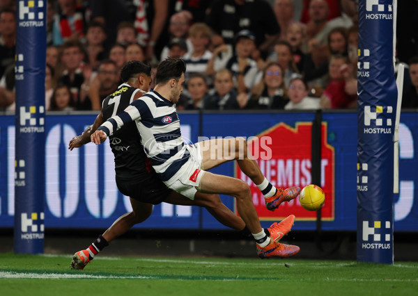 AFL 2025 Round 02 - St Kilda v Geelong - A-58029162