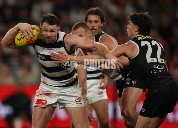 AFL 2025 Round 02 - St Kilda v Geelong - A-58029177