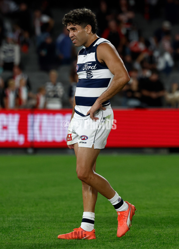 AFL 2025 Round 02 - St Kilda v Geelong - A-58029206