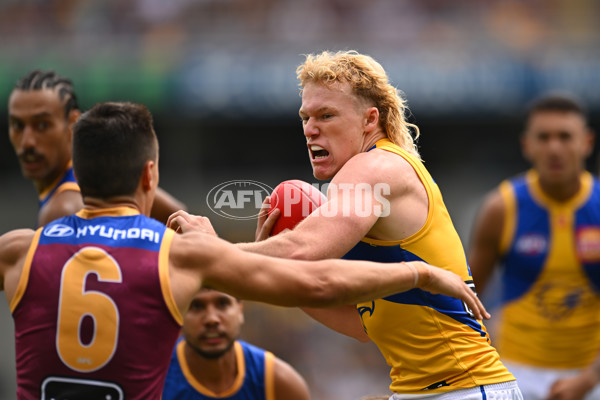AFL 2025 Round 02 - Brisbane v West Coast - A-58032120