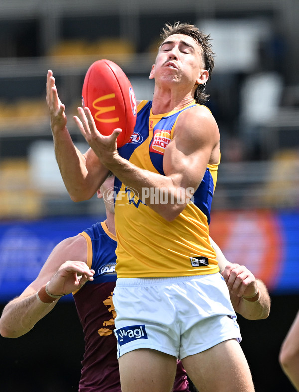 AFL 2025 Round 02 - Brisbane v West Coast - A-58034756