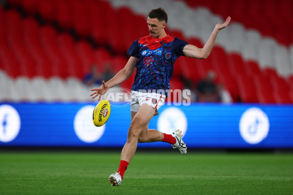 AFL 2025 Round 02 - North Melbourne v Melbourne - A-58034794