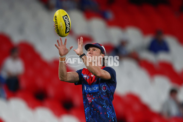 AFL 2025 Round 02 - North Melbourne v Melbourne - A-58034799