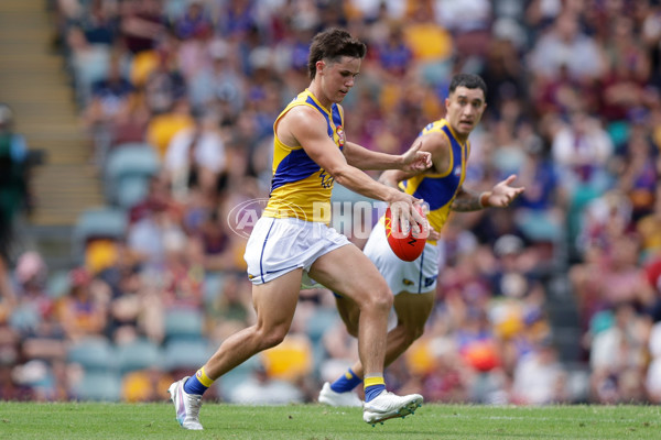 AFL 2025 Round 02 - Brisbane v West Coast - A-58034943