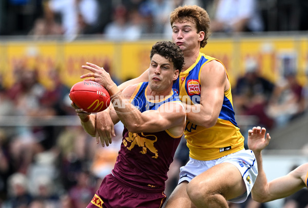 AFL 2025 Round 02 - Brisbane v West Coast - A-58034981