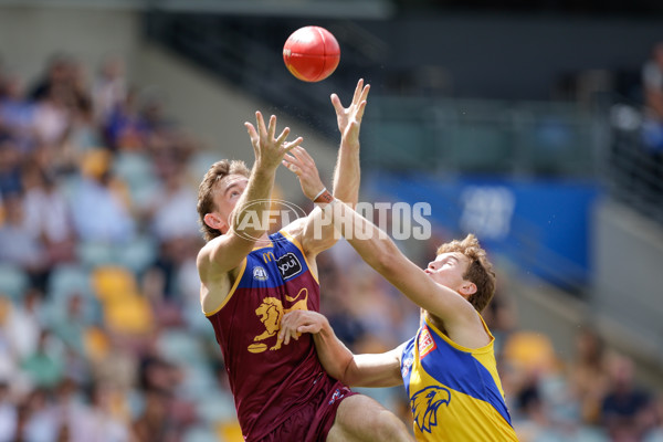 AFL 2025 Round 02 - Brisbane v West Coast - A-58037776