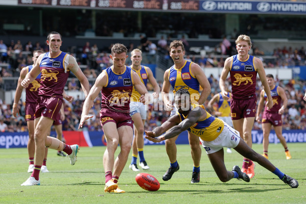 AFL 2025 Round 02 - Brisbane v West Coast - A-58040660