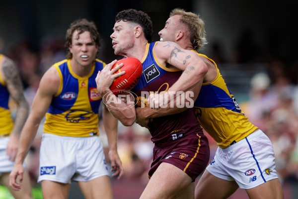 AFL 2025 Round 02 - Brisbane v West Coast - A-58040714