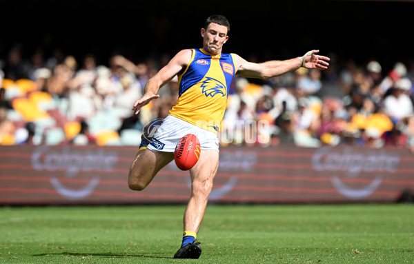AFL 2025 Round 02 - Brisbane v West Coast - A-58042410