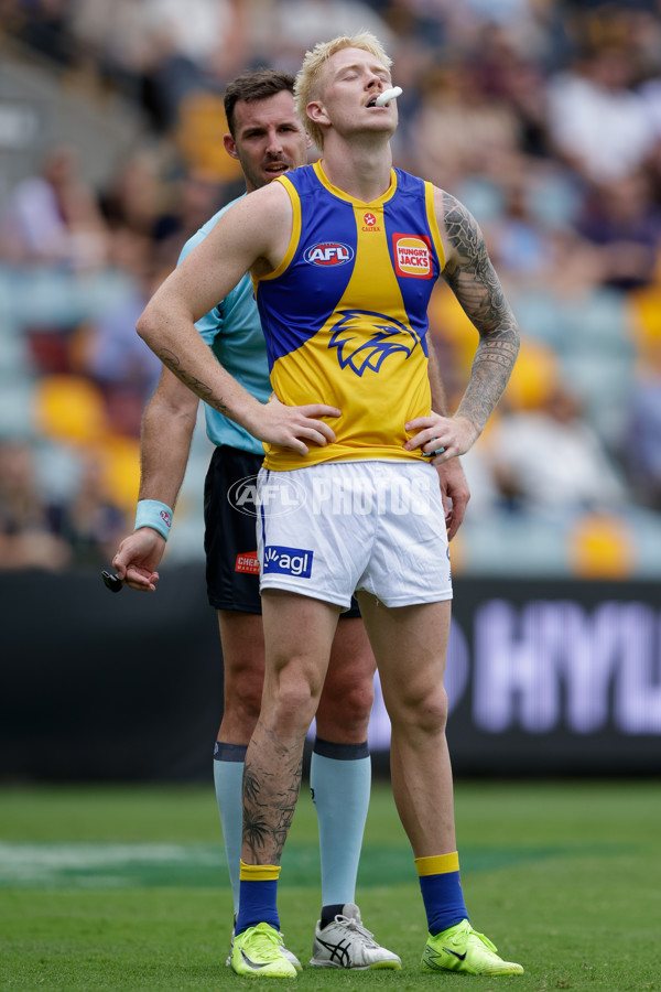 AFL 2025 Round 02 - Brisbane v West Coast - A-58043185