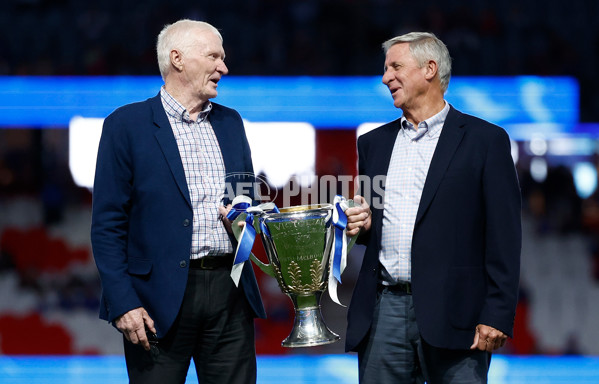 AFL 2025 Round 02 - North Melbourne v Melbourne - A-58043187