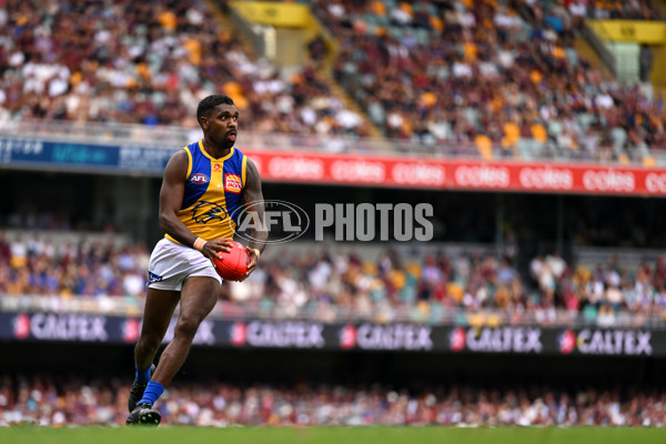 AFL 2025 Round 02 - Brisbane v West Coast - A-58046010