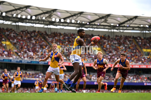 AFL 2025 Round 02 - Brisbane v West Coast - A-58047073