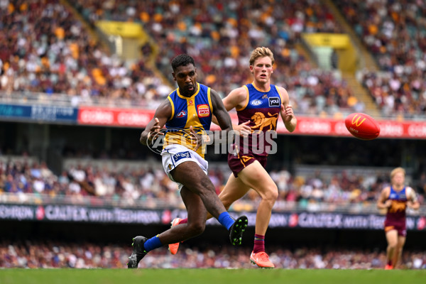 AFL 2025 Round 02 - Brisbane v West Coast - A-58048645