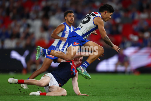 AFL 2025 Round 02 - North Melbourne v Melbourne - A-58049843