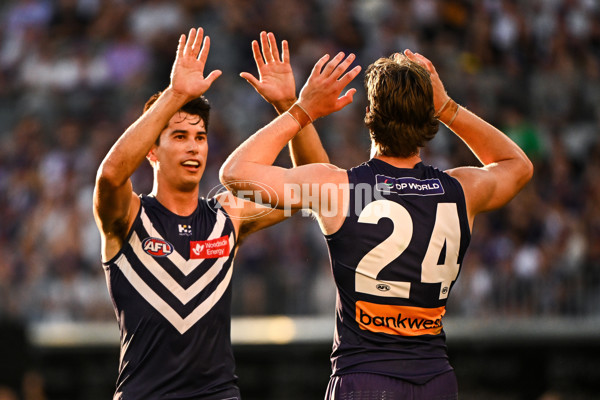 AFL 2025 Round 02 - Fremantle v Sydney - A-58060382