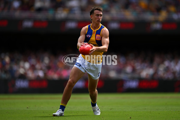 AFL 2025 Round 02 - Brisbane v West Coast - A-58063972