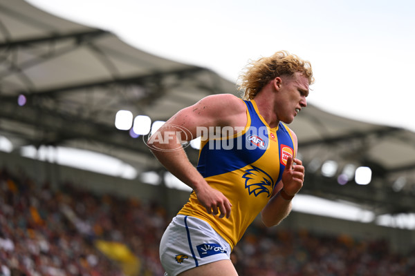 AFL 2025 Round 02 - Brisbane v West Coast - A-58063974