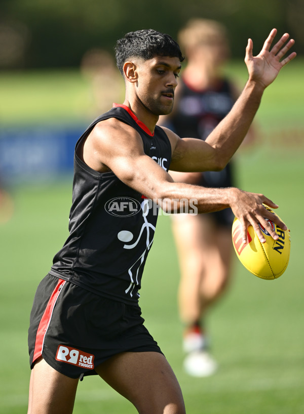 AFL 2025 Training - St Kilda 250325 - A-58065670