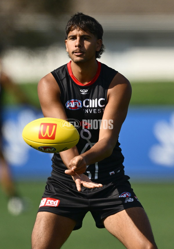 AFL 2025 Training - St Kilda 250325 - A-58065677