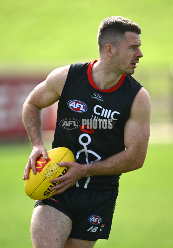 AFL 2025 Training - St Kilda 250325 - A-58065704