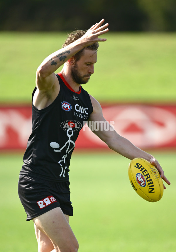 AFL 2025 Training - St Kilda 250325 - A-58066558