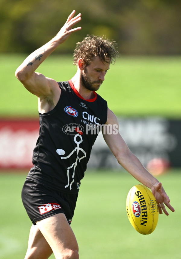 AFL 2025 Training - St Kilda 250325 - A-58066560