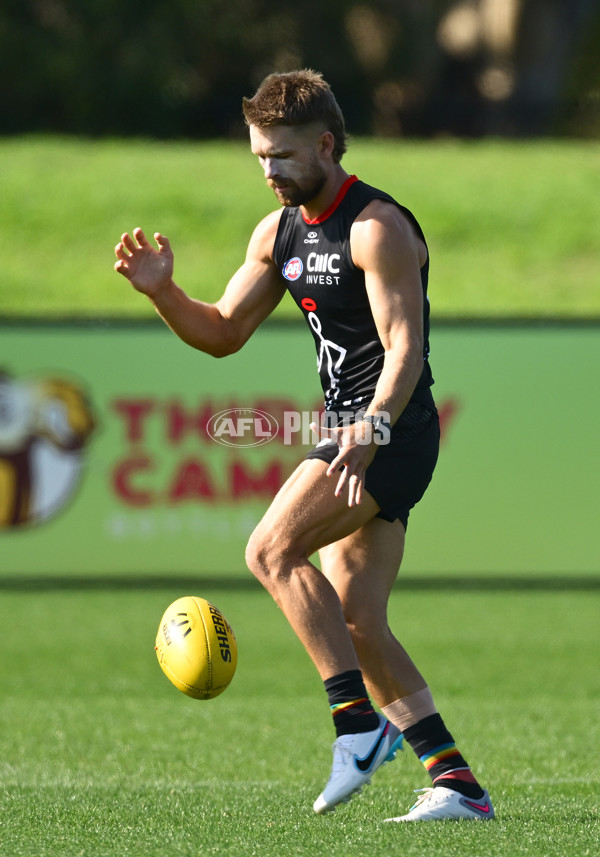 AFL 2025 Training - St Kilda 250325 - A-58066569