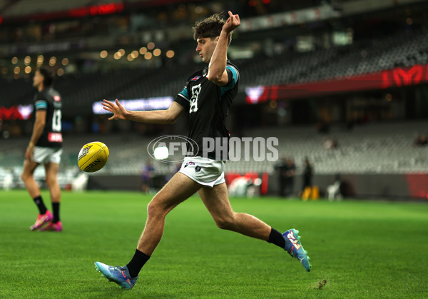AFL 2025 Round 03 - Essendon v Port Adelaide - A-58150980