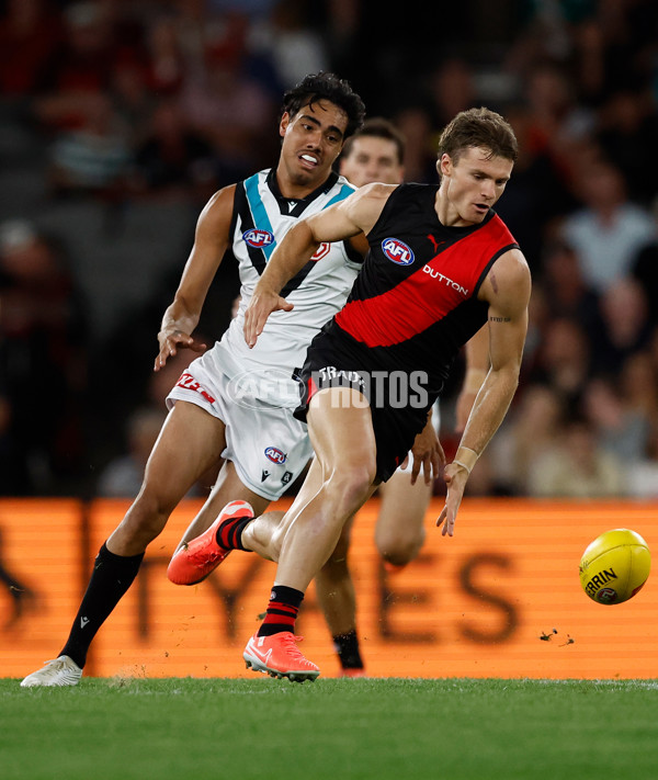 AFL 2025 Round 03 - Essendon v Port Adelaide - A-58153333
