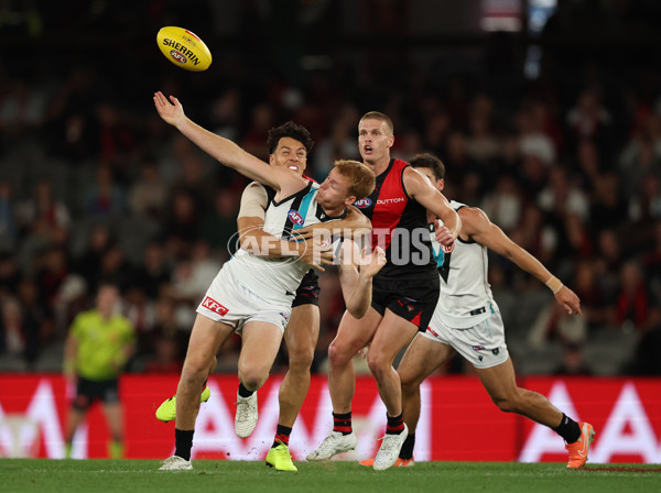 AFL 2025 Round 03 - Essendon v Port Adelaide - A-58153340