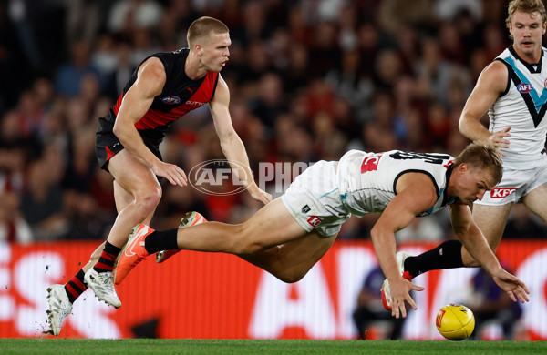 AFL 2025 Round 03 - Essendon v Port Adelaide - A-58153350